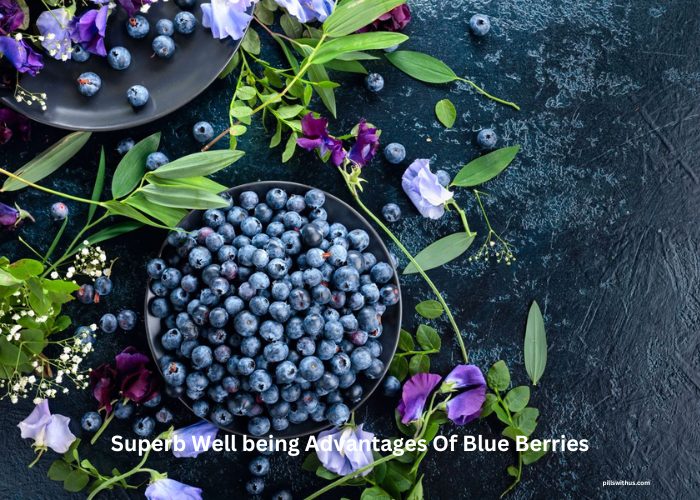 Superb Well being Advantages Of Blue Berries