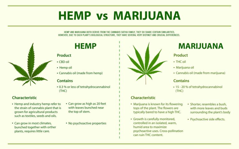 What is the difference between Hemp and Marijuana